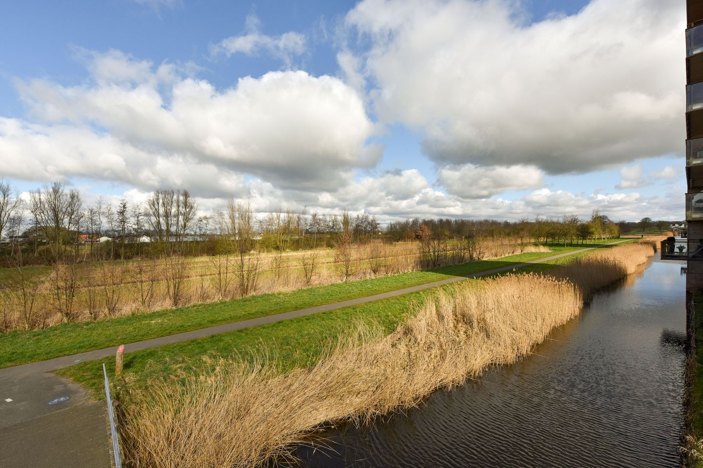 Foto 34 van Fluitekruid 36