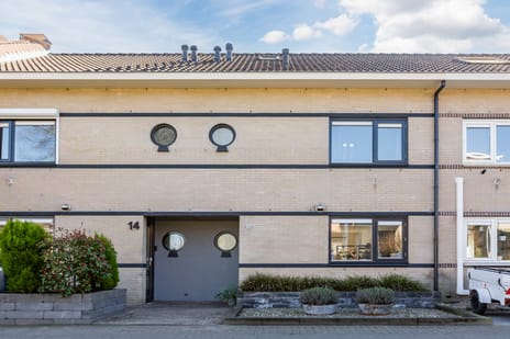 undefined main image