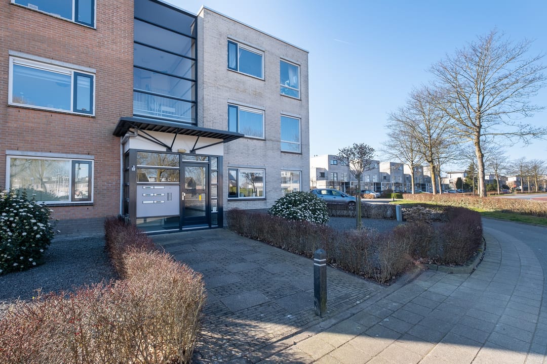 Foto 28 van Reuzenpandasingel 208