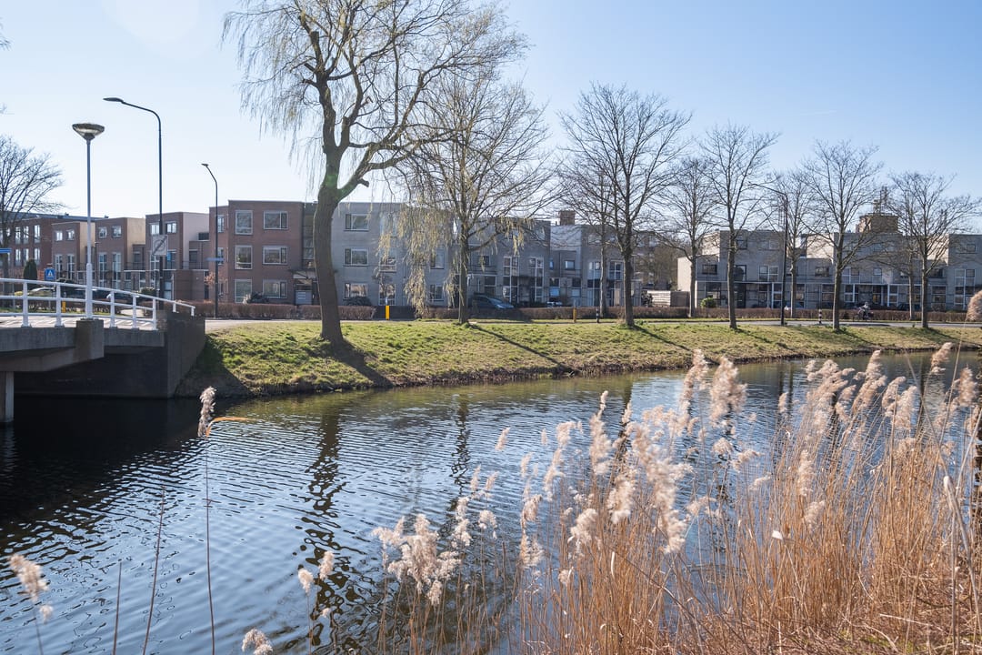 Foto 31 van Reuzenpandasingel 208