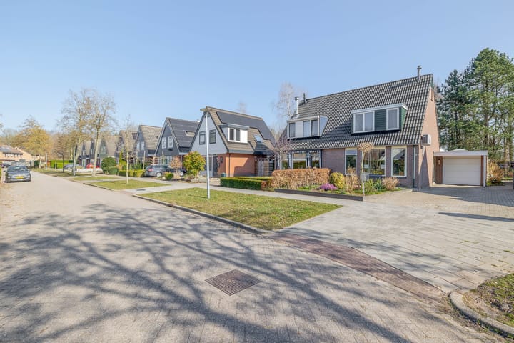 Foto 8 van Elzenhage 55