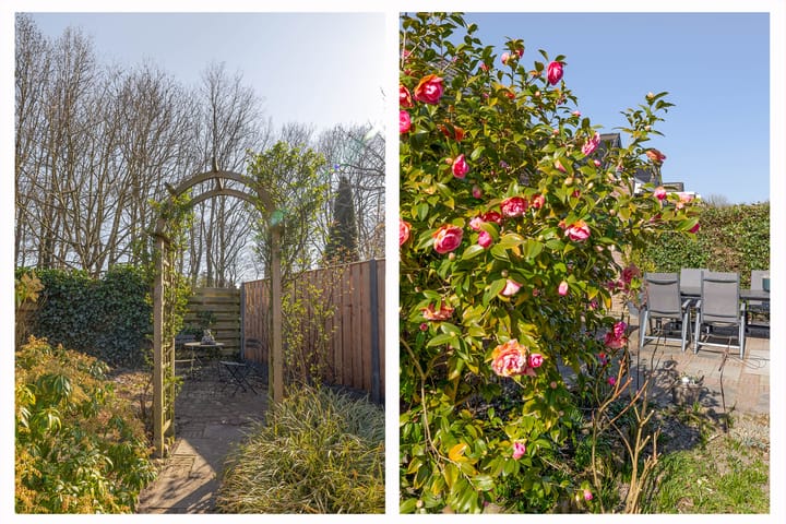 Foto 41 van Elzenhage 55