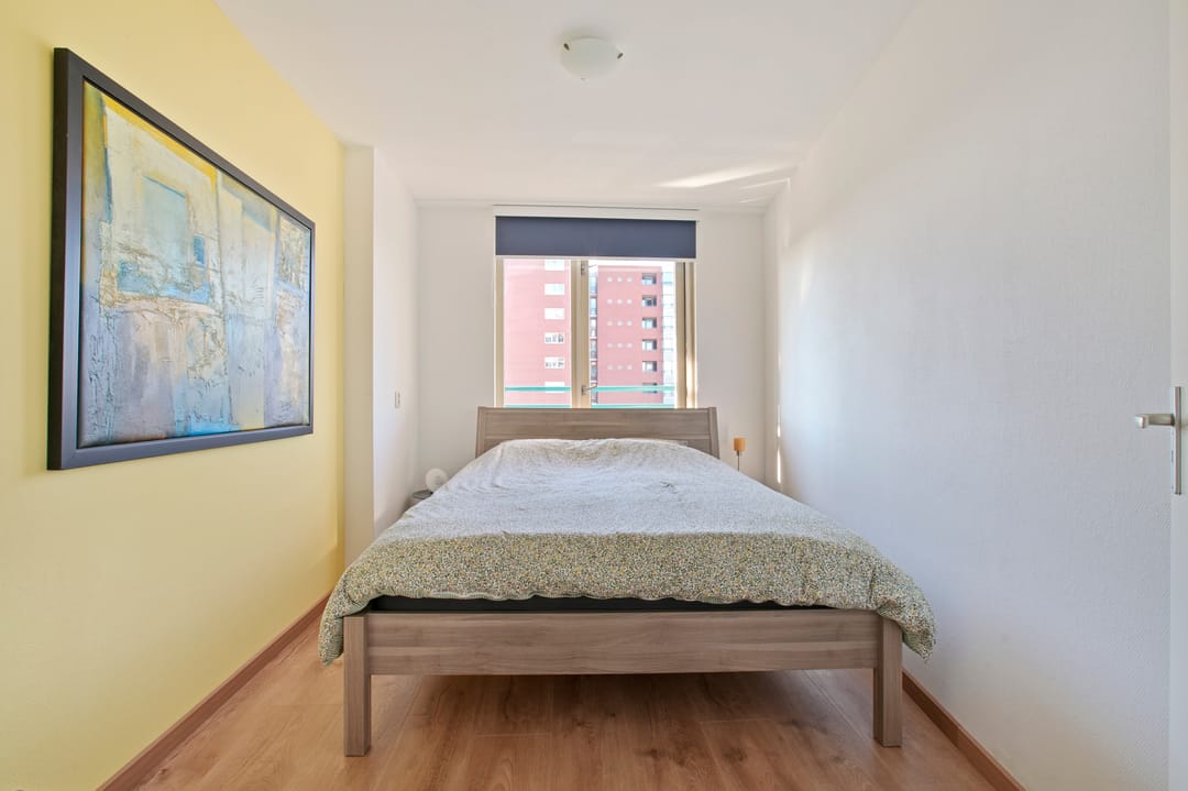 Foto 16 van Cornelis van Rijplantsoen 25