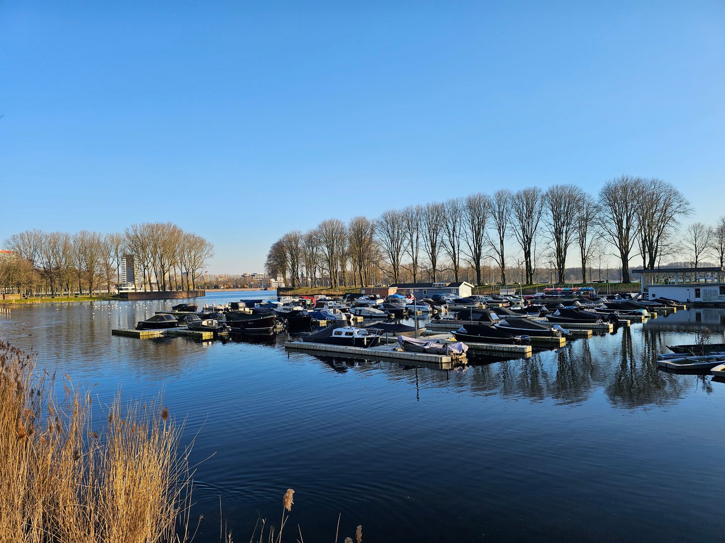 Foto 35 van Cornelis van Rijplantsoen 25