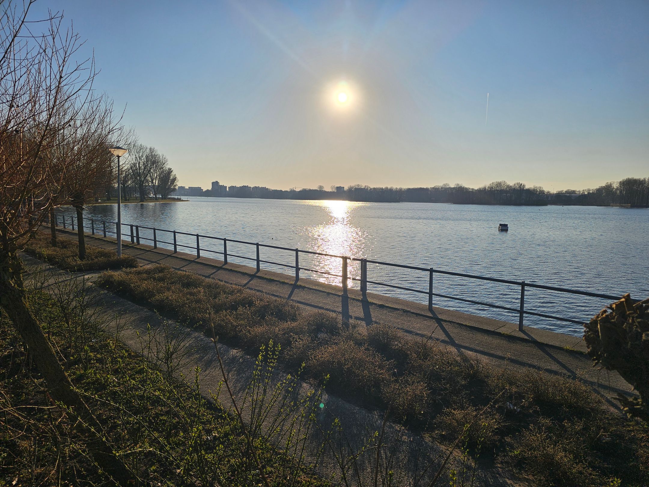 Foto 39 van Cornelis van Rijplantsoen 25