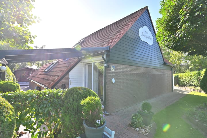 Foto 5 van Springvloed 20