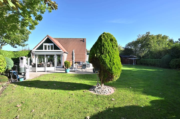 Foto 19 van Springvloed 20