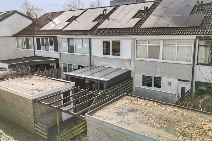 Foto 2 van Raaigras 301