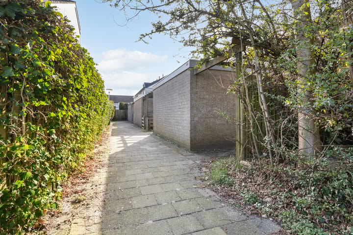 Foto 6 van Raaigras 301