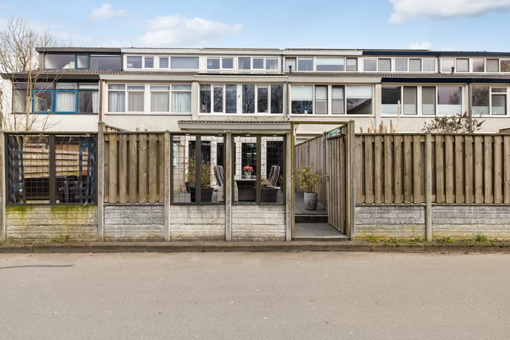 Foto 5 van Raaigras 301