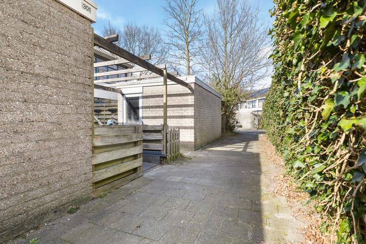 Foto 7 van Raaigras 301