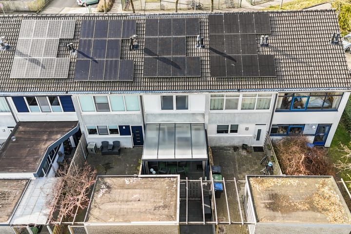 Foto 46 van Raaigras 301