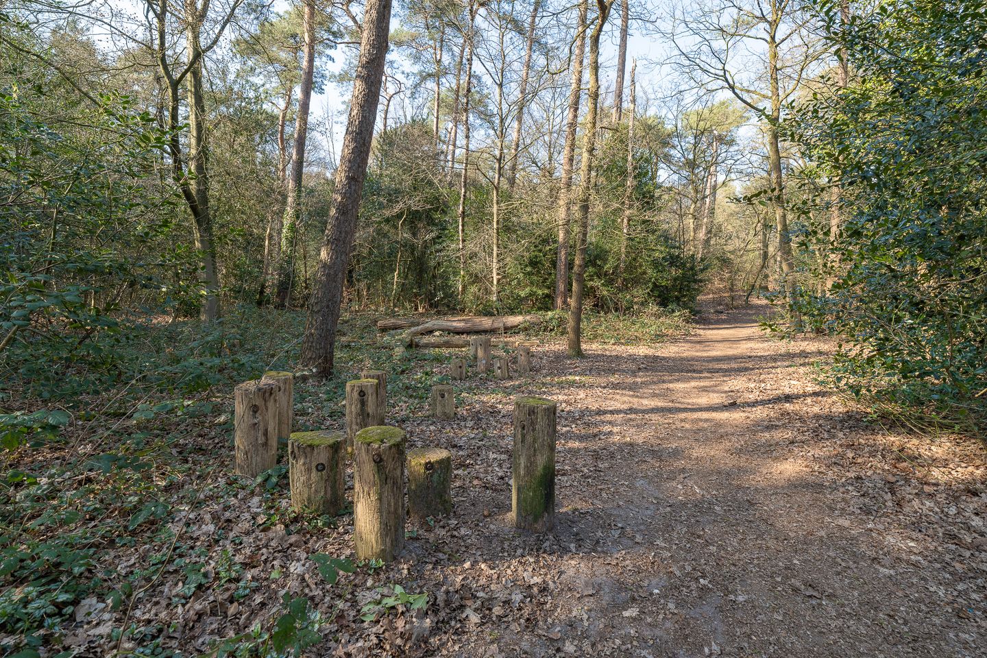 Foto 55 van van Heeckerenlaan 3