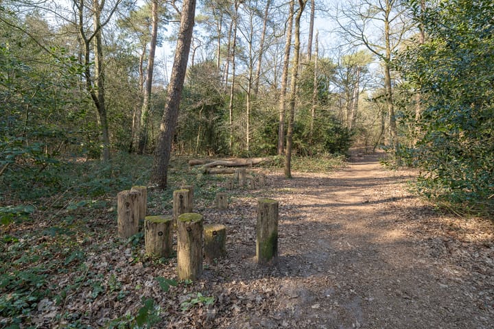 Foto 55 van van Heeckerenlaan 3