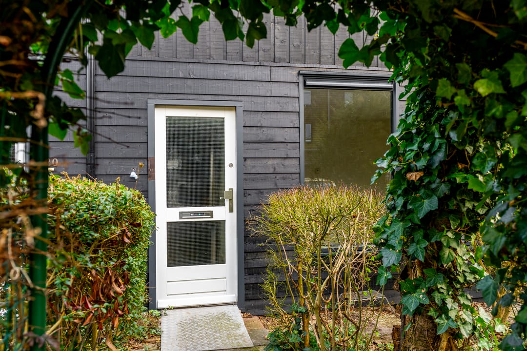 Foto 2 van Sierduif 18