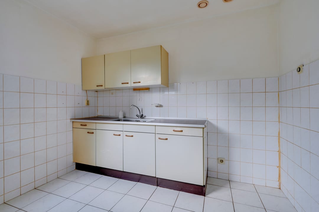 Foto 8 van Sierduif 18