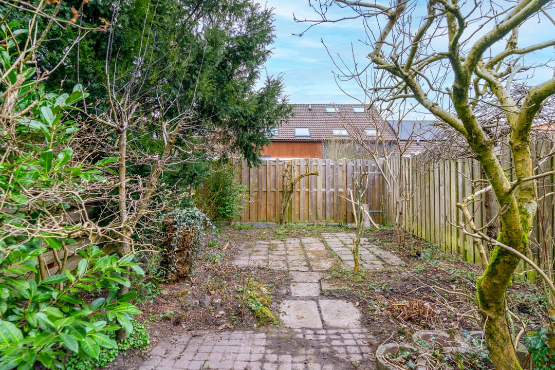 Foto 11 van Sierduif 18