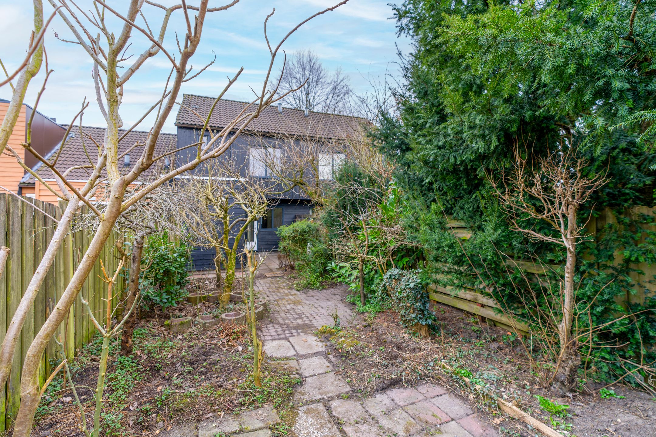 Foto 12 van Sierduif 18