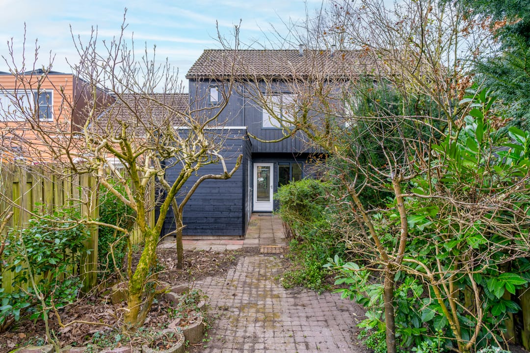 Foto 13 van Sierduif 18