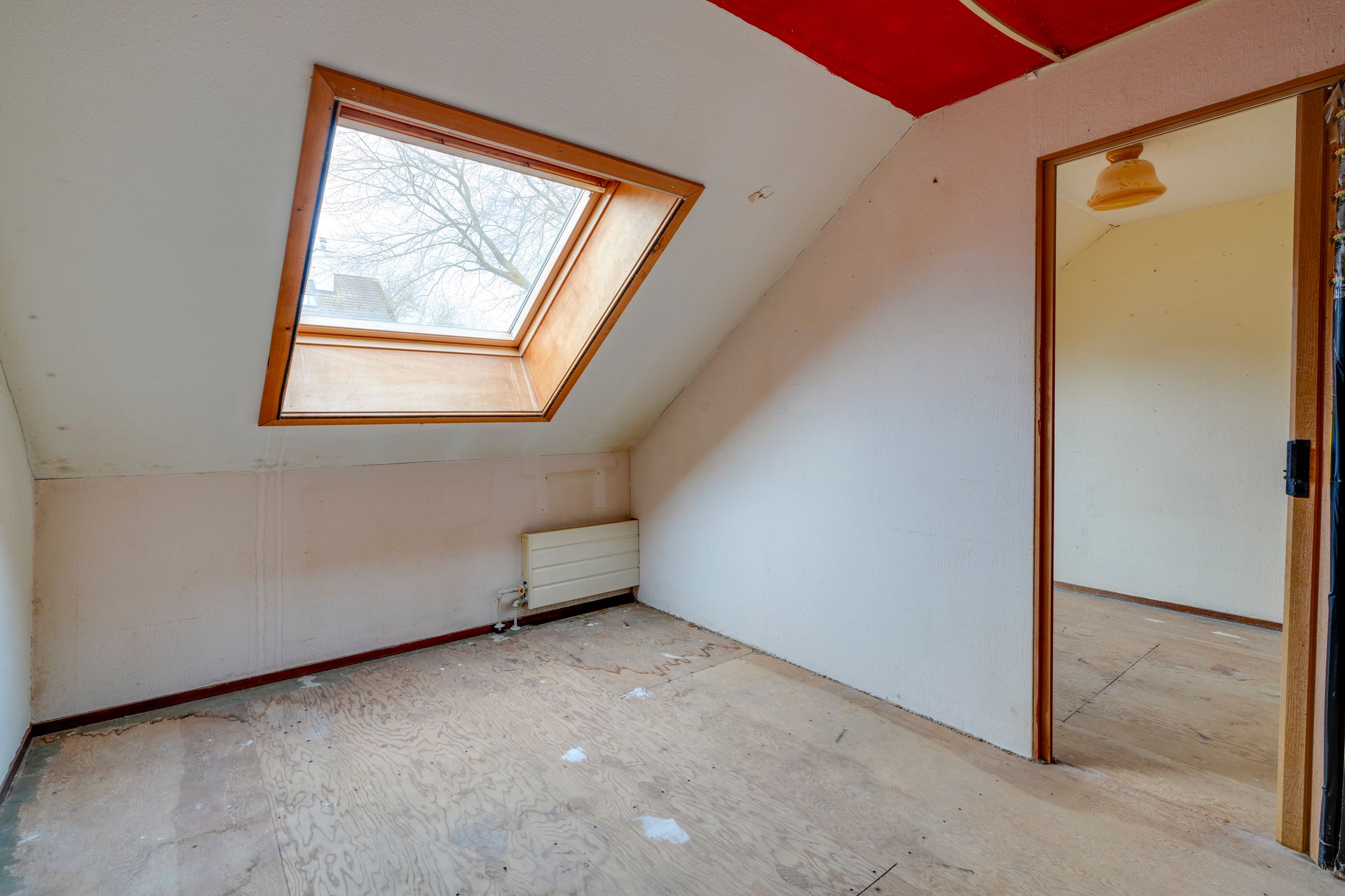 Foto 15 van Sierduif 18