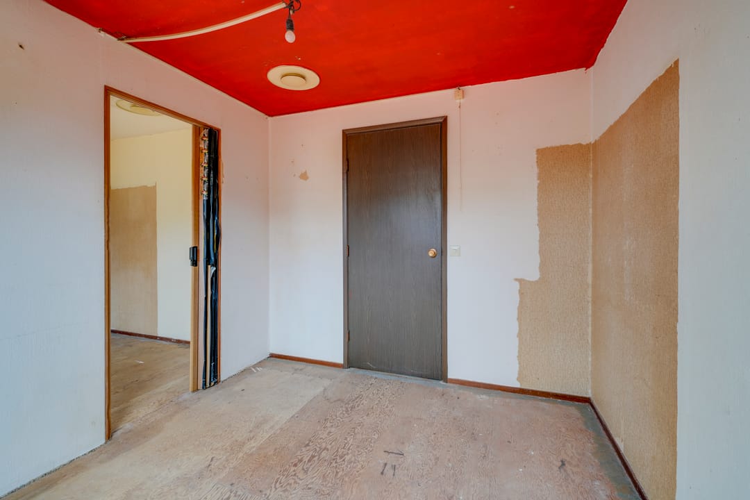 Foto 16 van Sierduif 18