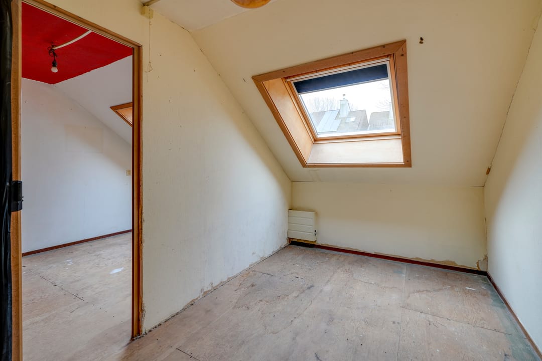 Foto 17 van Sierduif 18