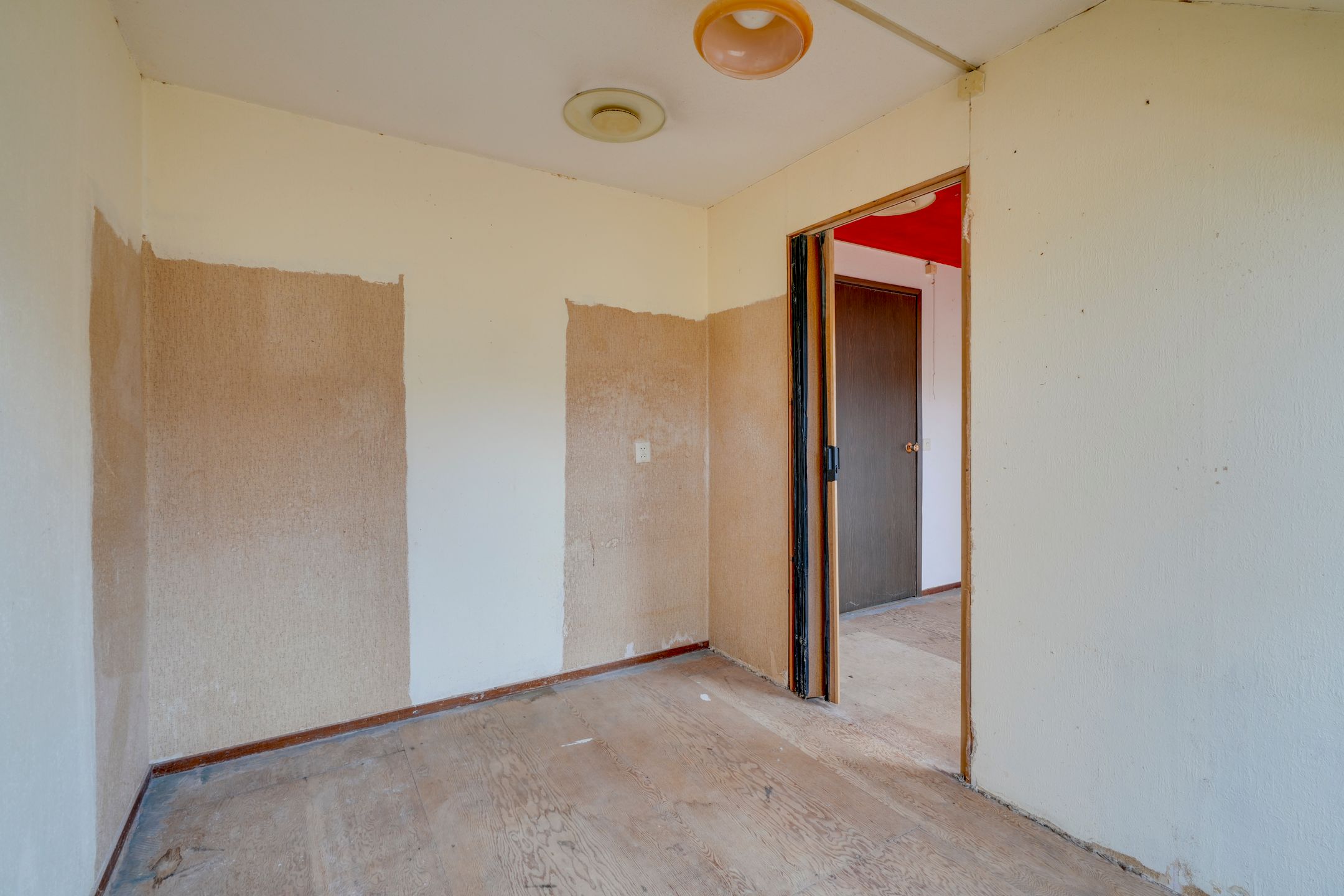 Foto 18 van Sierduif 18