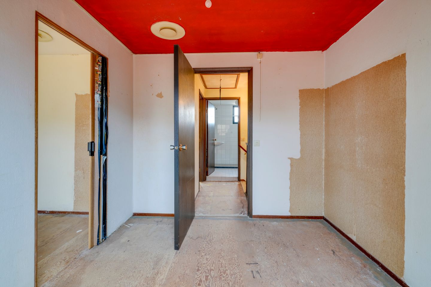 Foto 19 van Sierduif 18