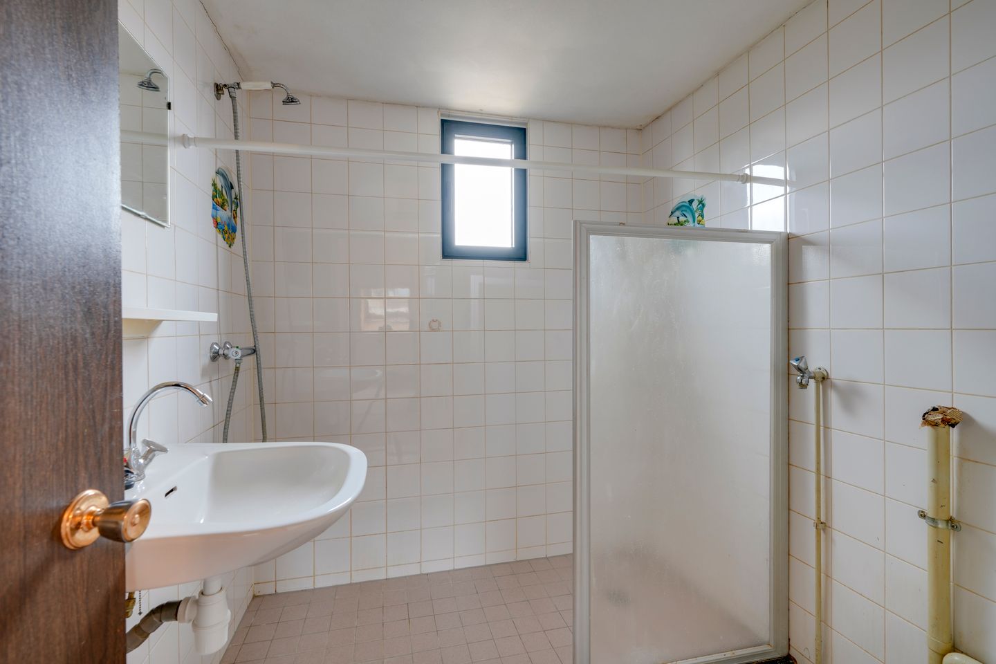 Foto 20 van Sierduif 18