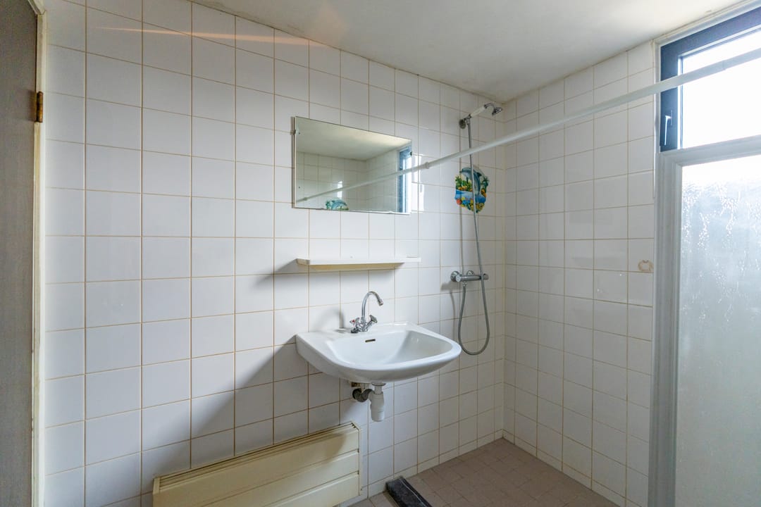 Foto 22 van Sierduif 18