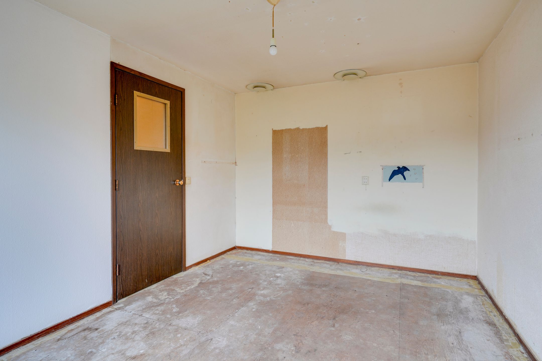 Foto 24 van Sierduif 18