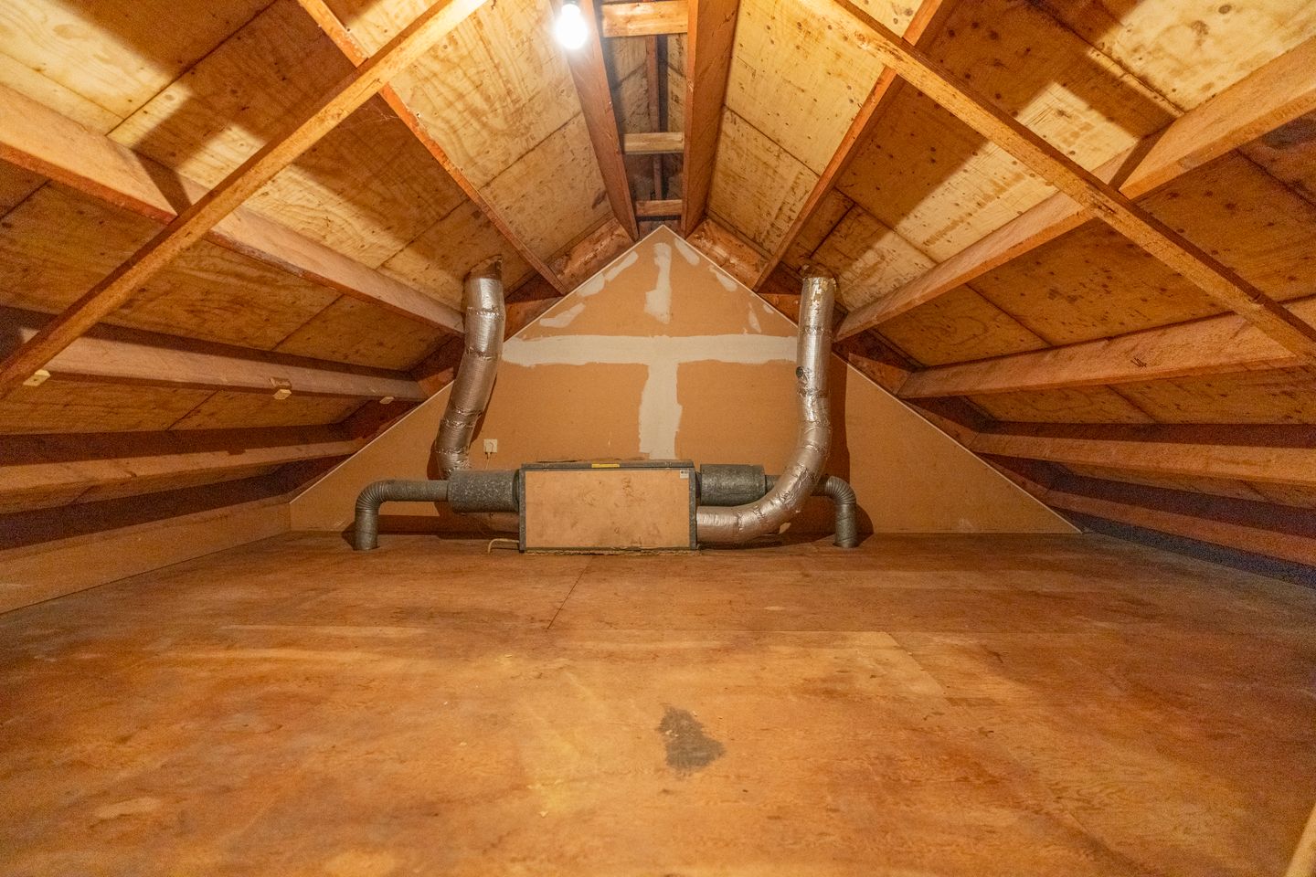 Foto 25 van Sierduif 18