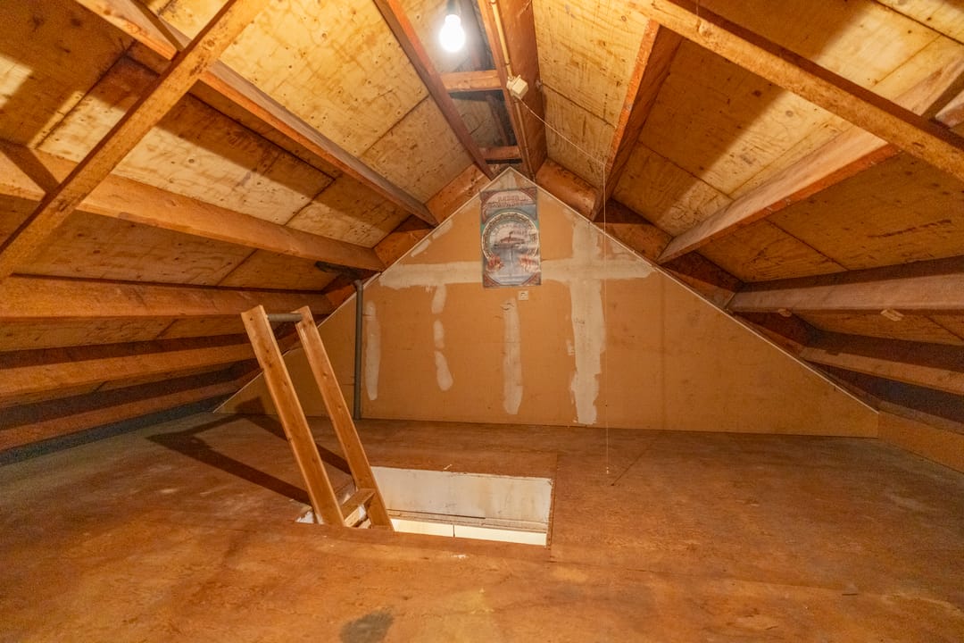 Foto 26 van Sierduif 18