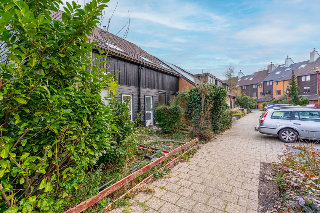 Foto 28 van Sierduif 18