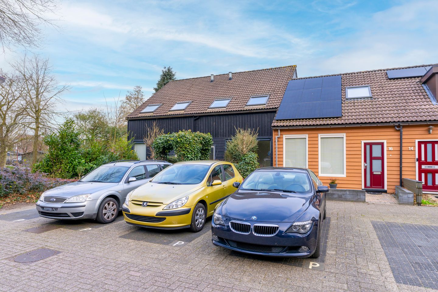 Foto 29 van Sierduif 18