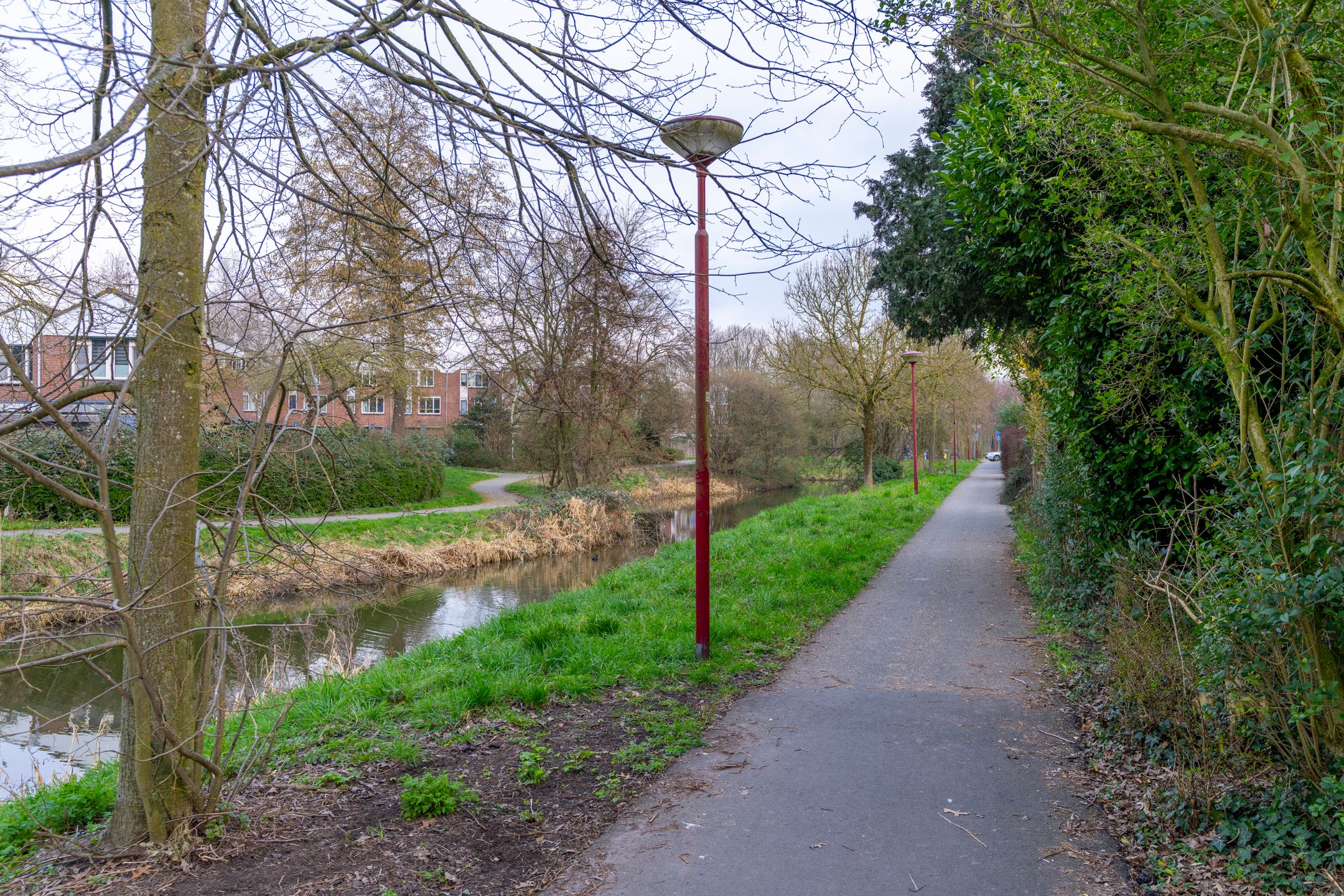 Foto 30 van Sierduif 18