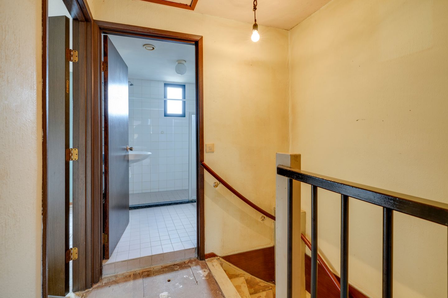 Foto 14 van Sierduif 18