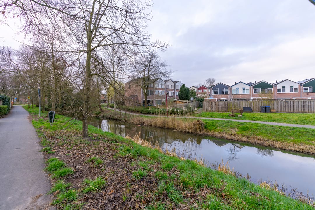 Foto 31 van Sierduif 18