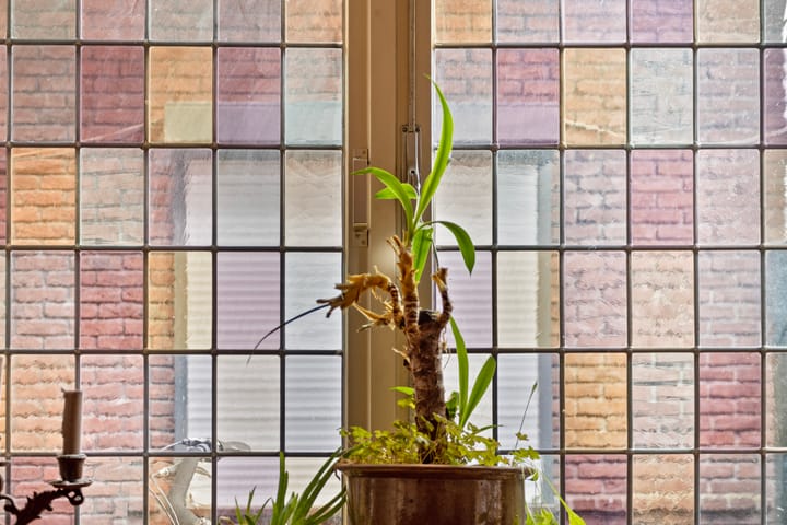 Foto 8 van Voortsweg 365