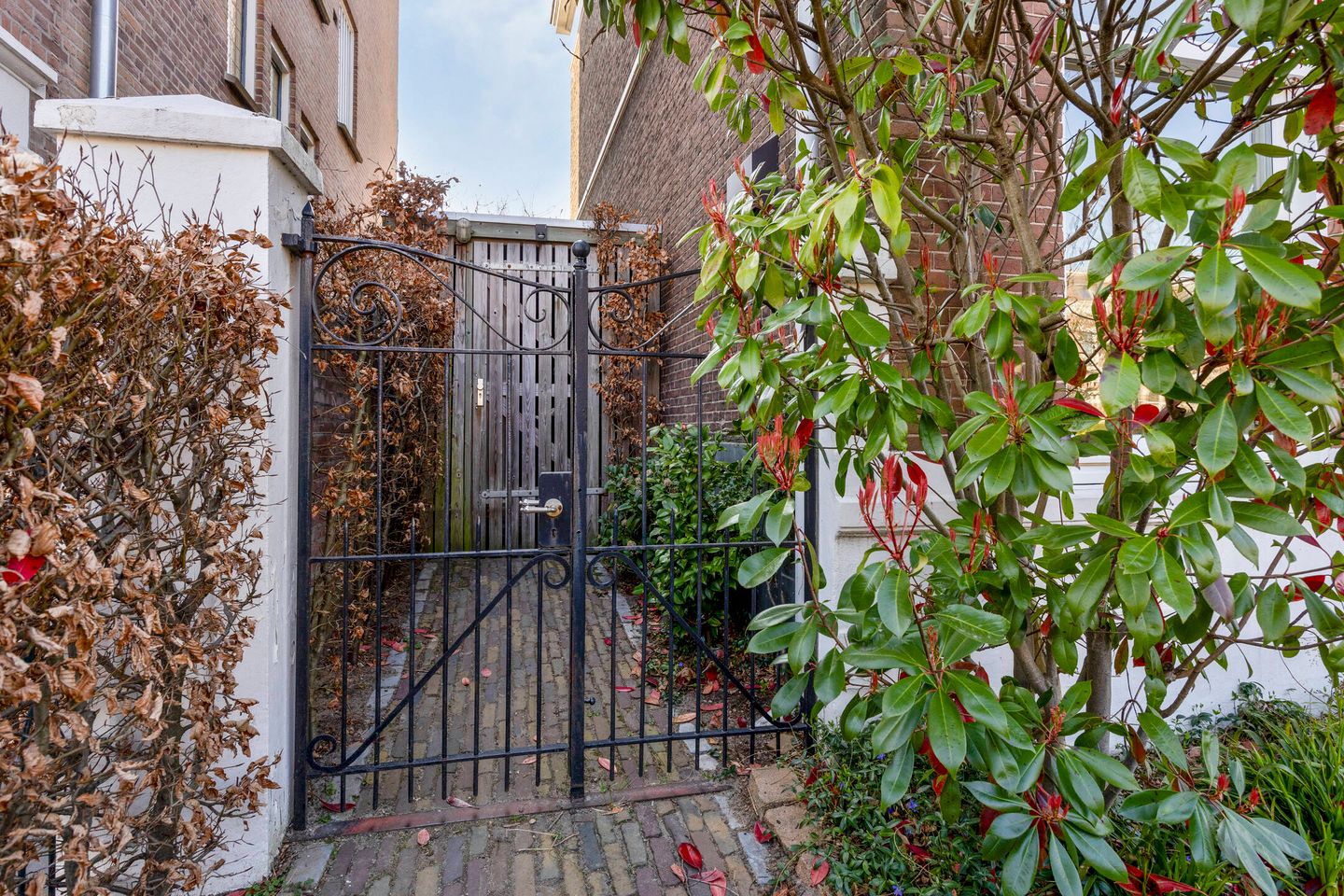 Foto 50 van St. Annastraat 164