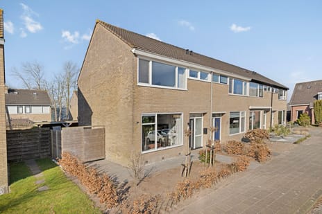 undefined main image