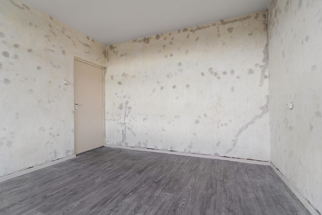 Photo 26 of Kanunnik Boenenstraat 6-B