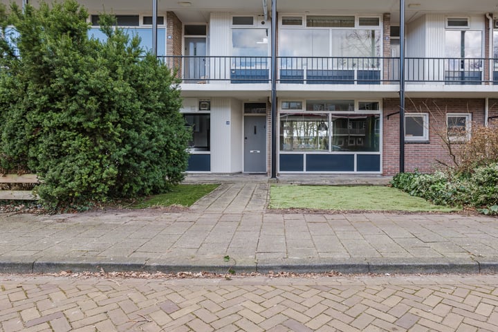 De Reiger 159