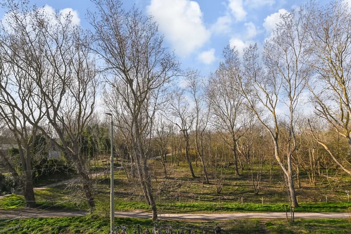 Foto 3 van Duivelandsestraat 23