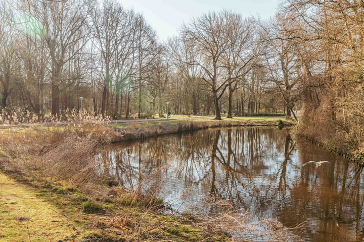 Photo 27 of Erasmusgracht 23-3