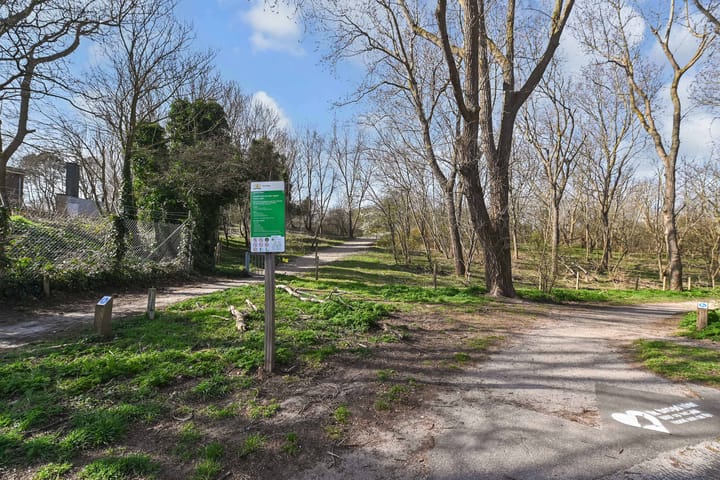 Foto 7 van Duivelandsestraat 23