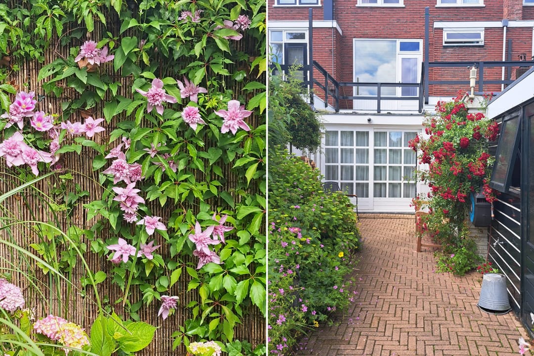 Foto 53 van Mr. P.J. Troelstraweg 118