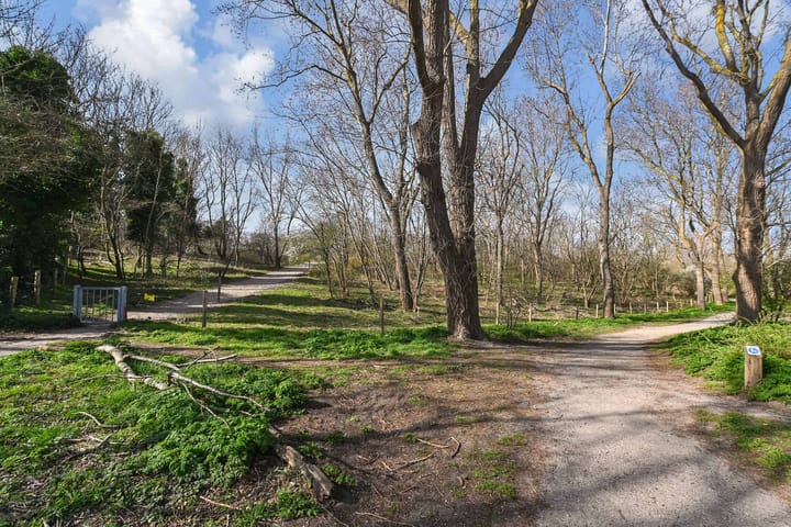 Foto 35 van Duivelandsestraat 23