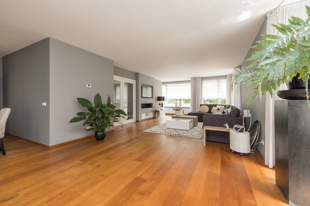 Foto 11 van Hogeweg 69