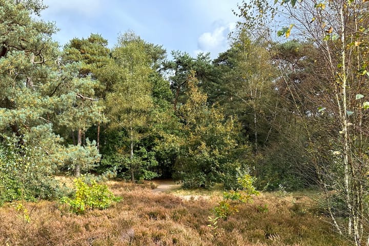 Foto 44 van Krönerweg 7